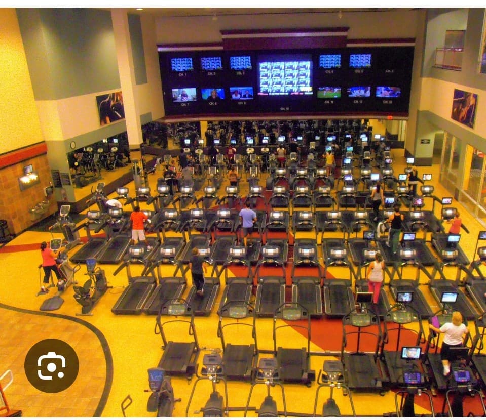 Premium gym equipment and facilities